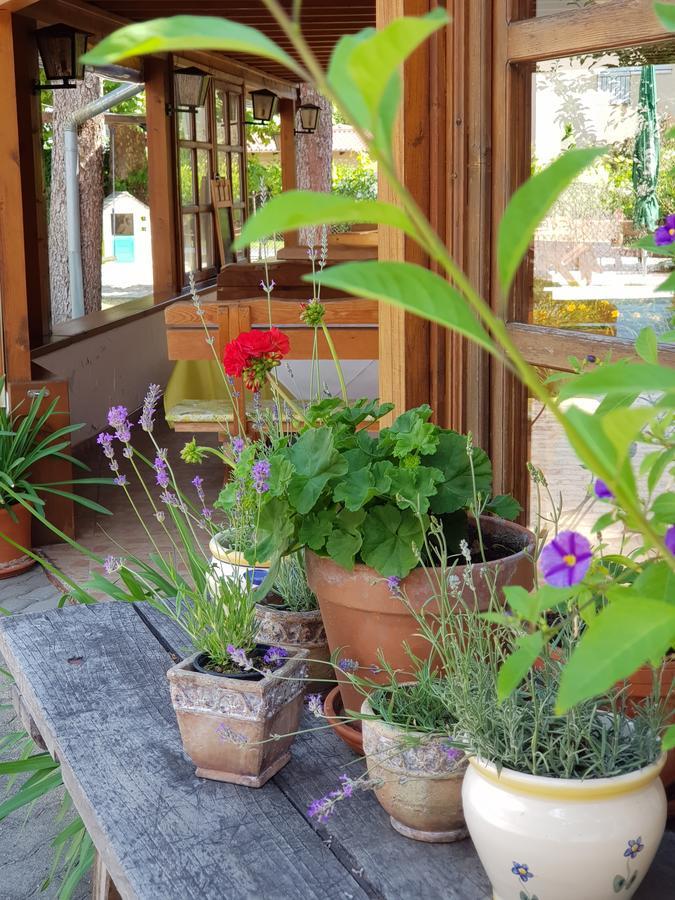 Sommer Panzio Balatonfoldvar Bagian luar foto